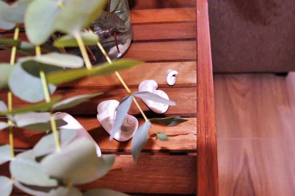 Apartamento En La Rambla Con Piscina Санта-Крус-де-Тенеріфе Екстер'єр фото